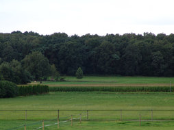 Het uitzicht aan de voorzijde over de weilanden en bosrand
