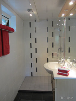 Ruime badkamer met inloopdouche, wastafelmeubel en toilet