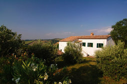 Casa dei Colli bed & breakfast en vakantiehuisje in Mergo, Marche - Italië