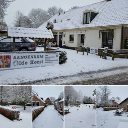 Winter bij Aangenaam Olde Horst